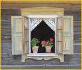 Window with Flower Pot